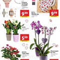 Antevisão Folheto LIDL 26 Abril a 2 maio d33.jpg